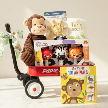 Baby Einstein Jungle Jamboree