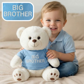Big Brother Teddy Bear
