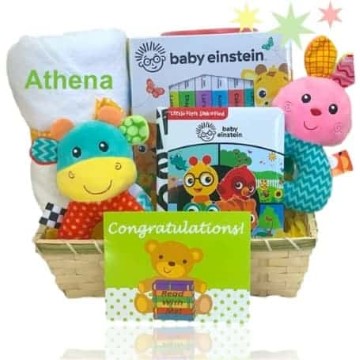 Baby Einstein Gift Basket