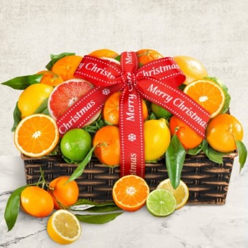 Merry Christmas Citrus Fruit Basket