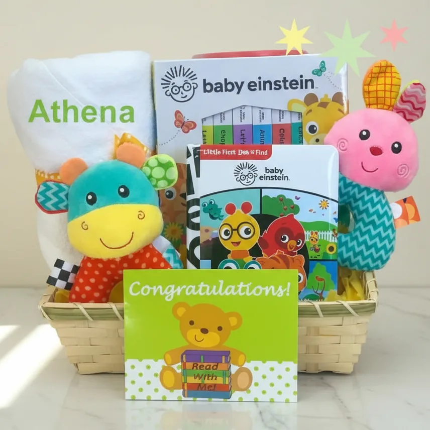 Baby Einstein Gift Basket