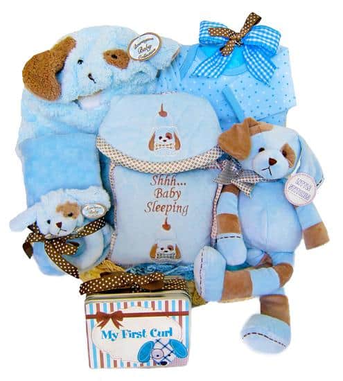 Puppy Love Baby Boy Gift Basket