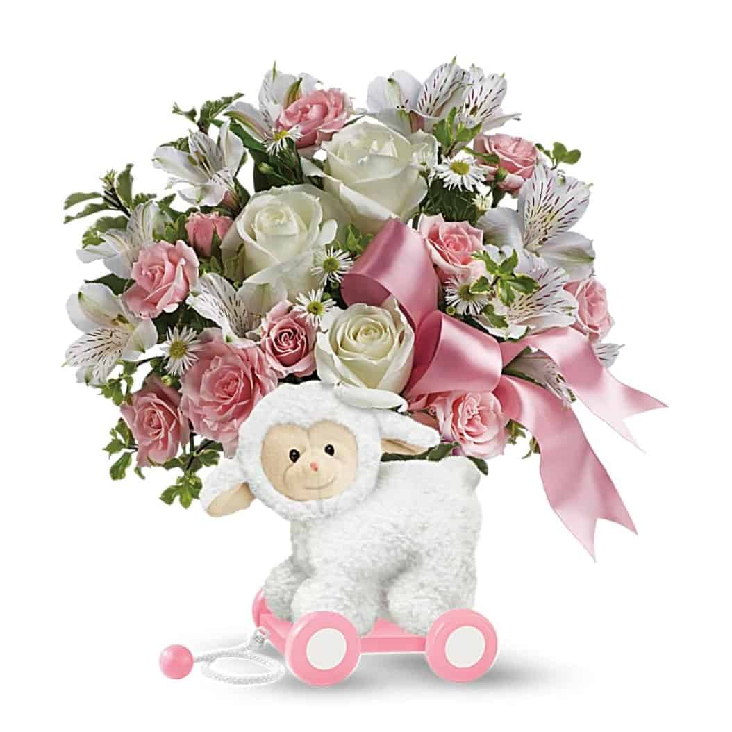 Sweet Little Lamb - Baby Pink