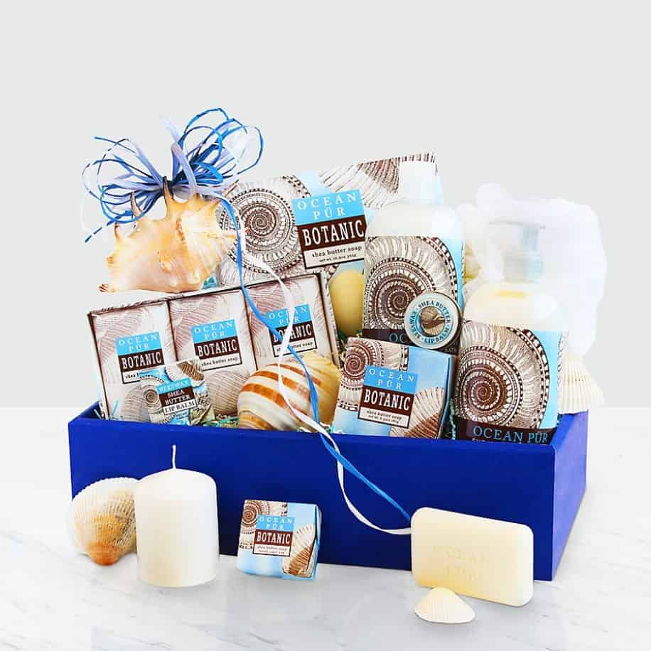 Seashell Spa Collection