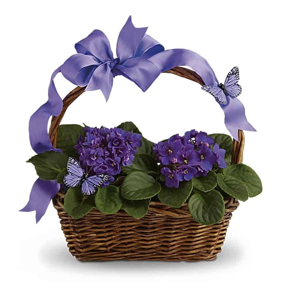 Violets And Butterflies Flower Basket