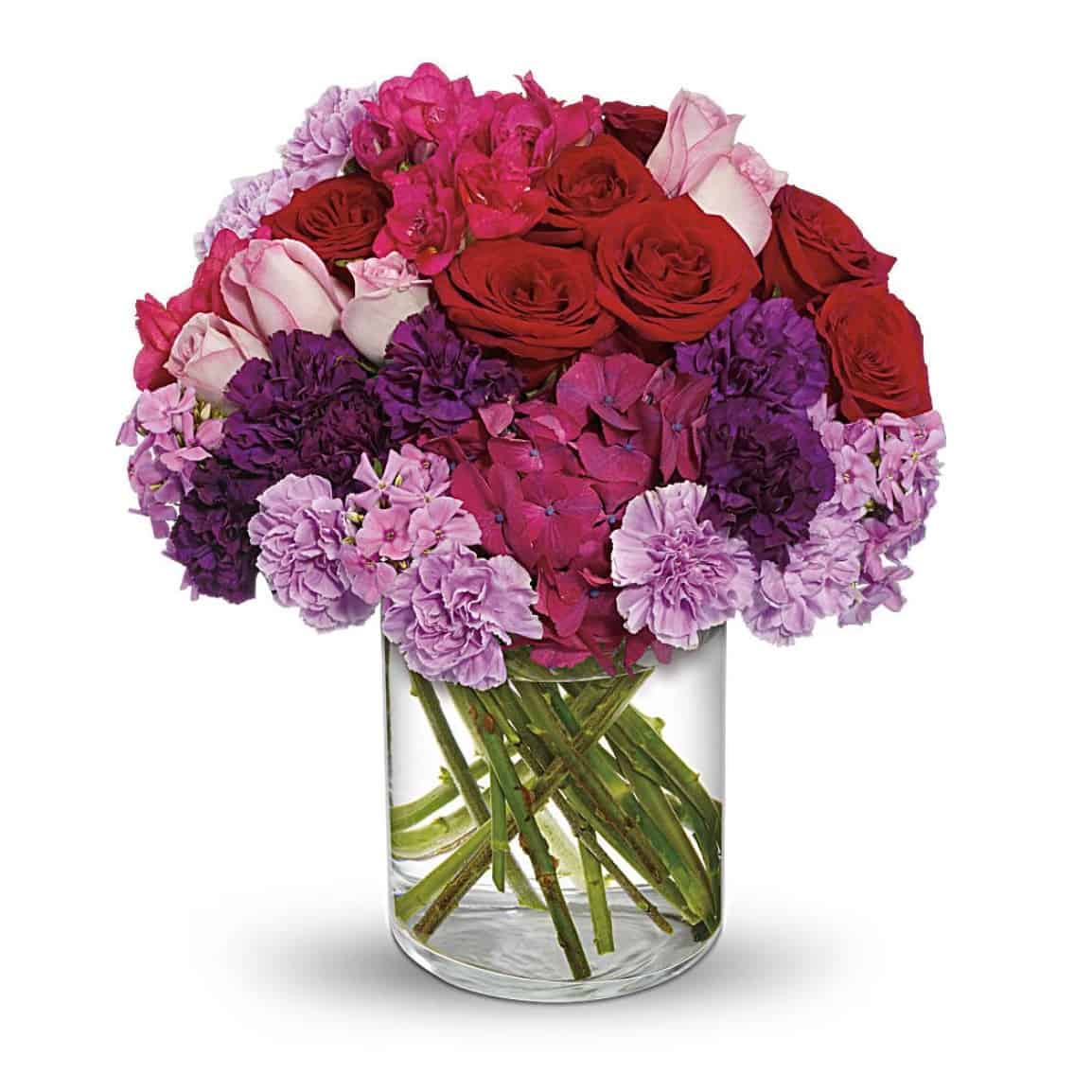 Roman Holiday Luxuriant Blooms