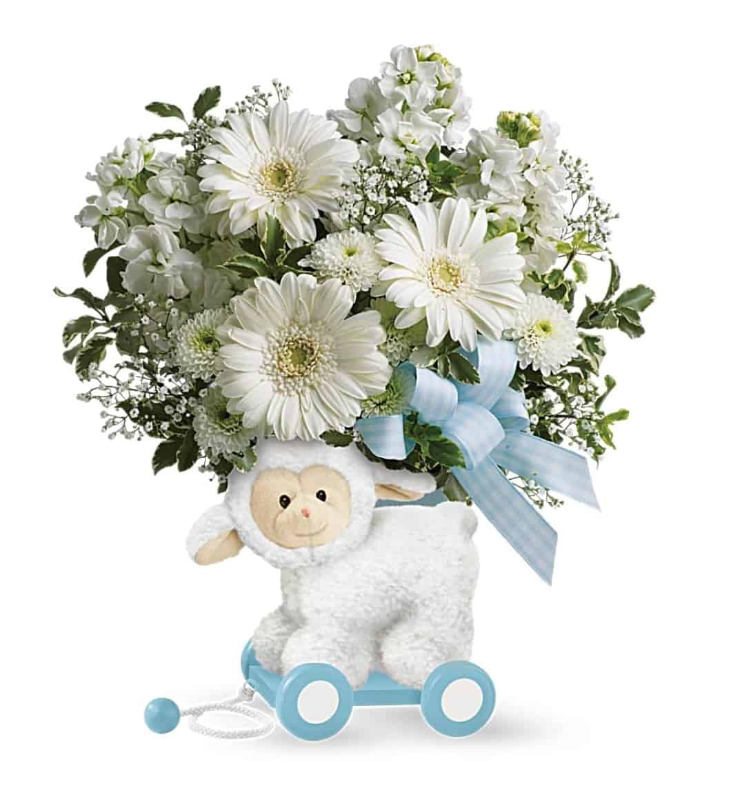 Sweet Little Lamb - Baby Blue