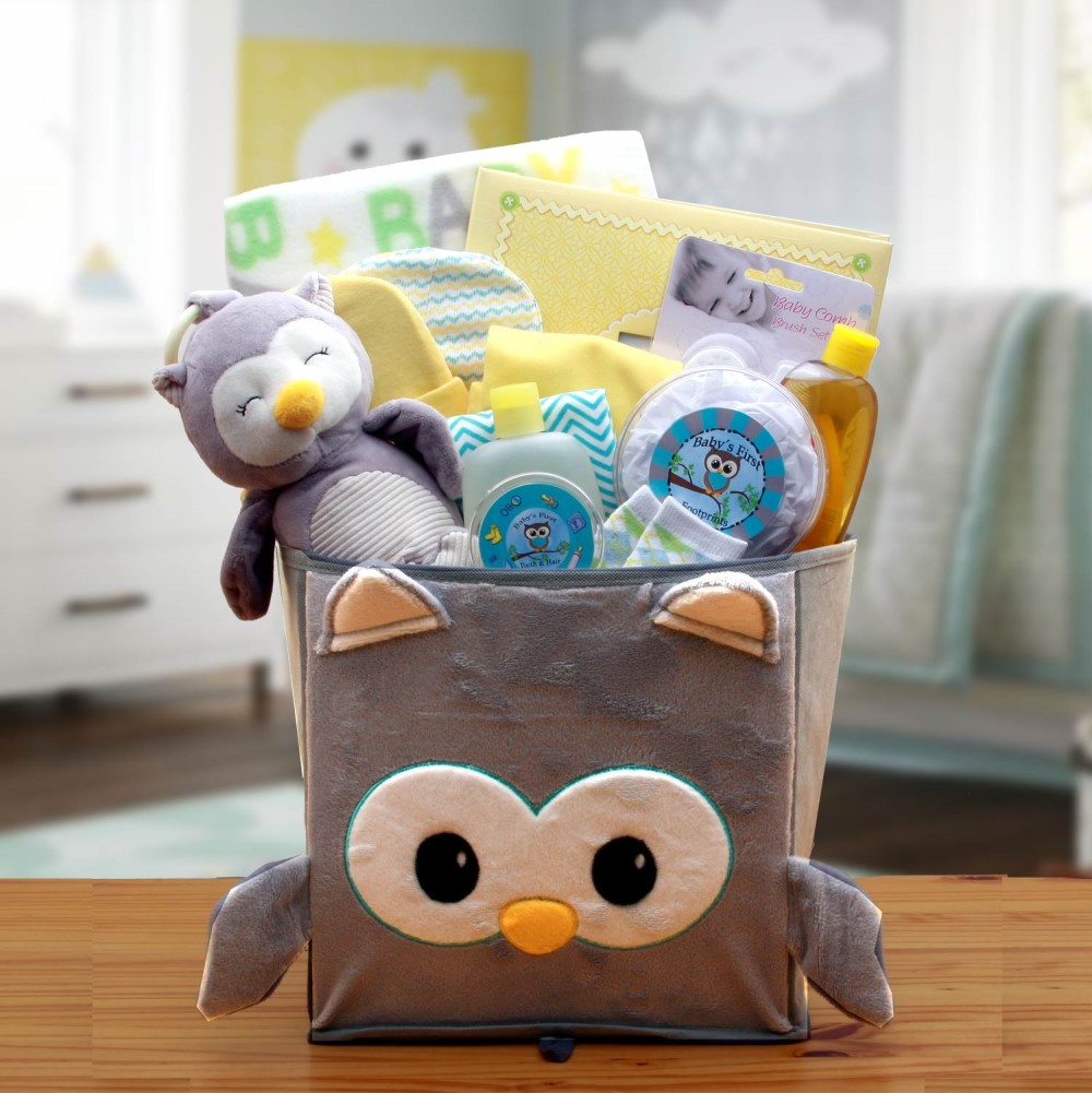 Little Hoot Baby Gift Basket