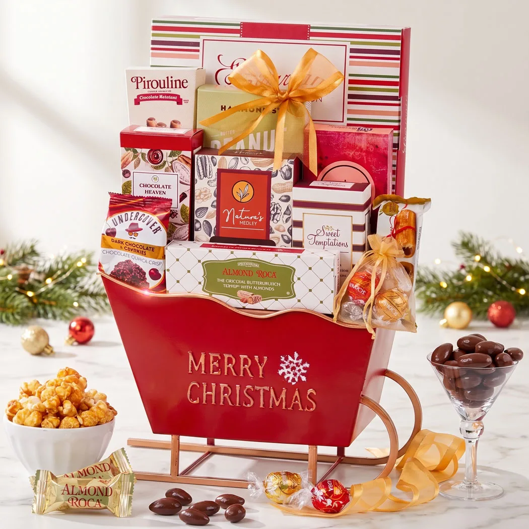 Merry Christmas Holiday Sleigh