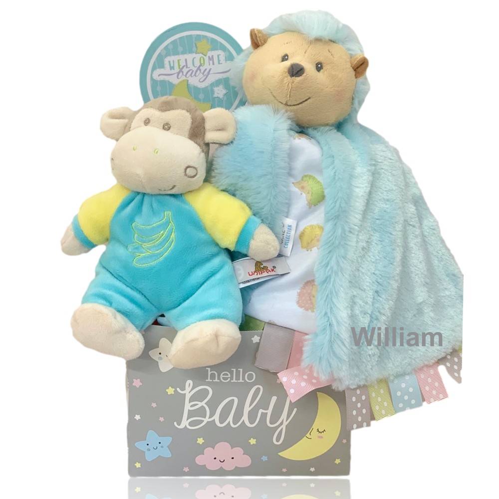 Hello Baby Boy Gift Basket