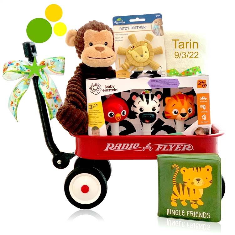 >Baby Einstein Jungle Jamboree