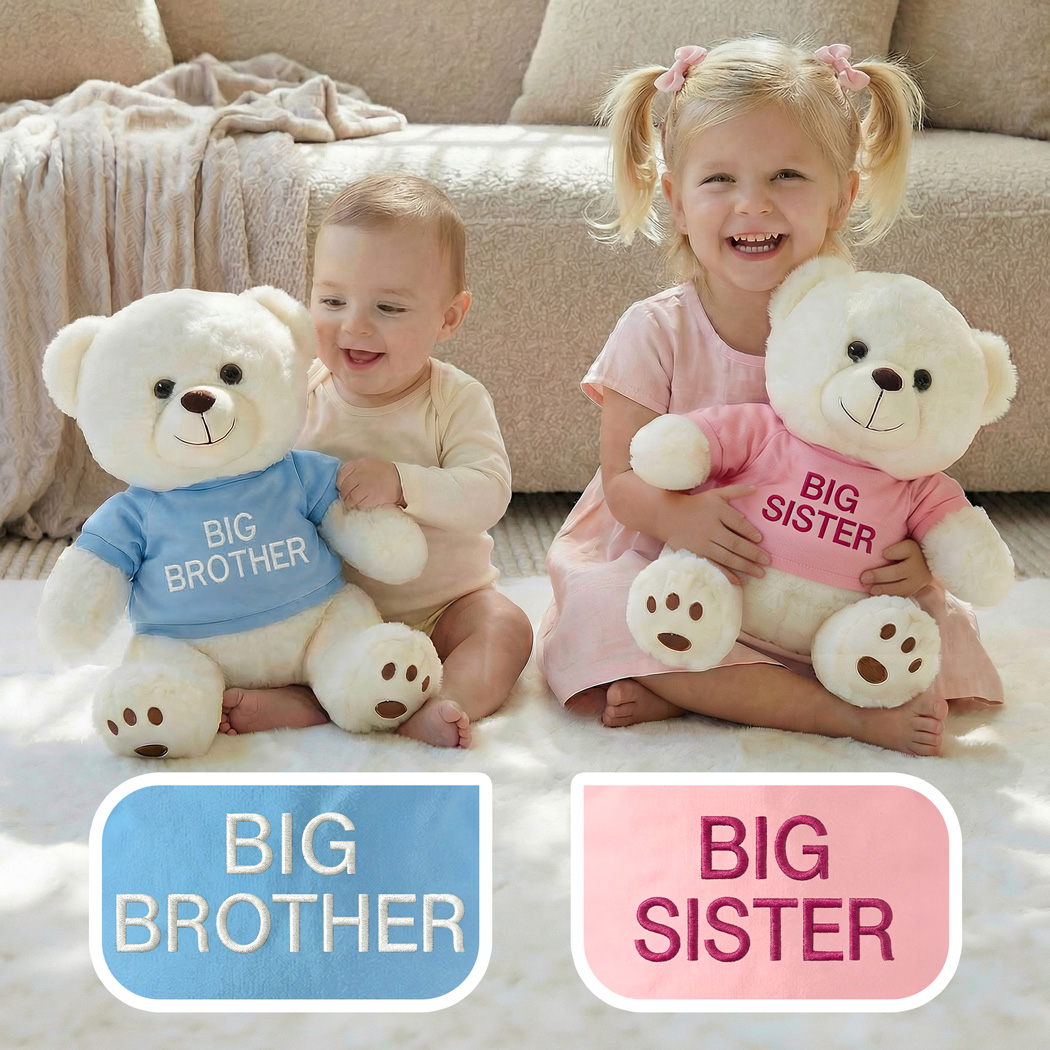 Big Sister, Big Brother Teddy Bear