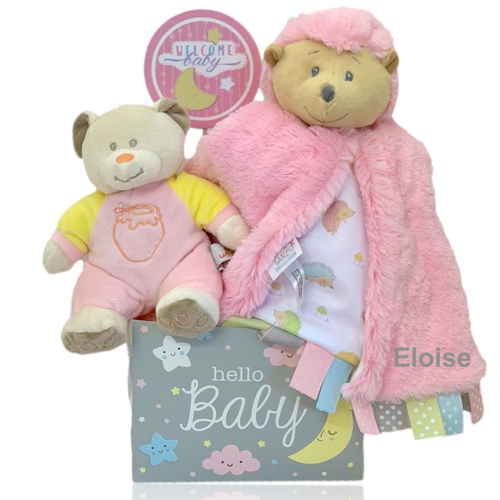 Hello Baby Girl Gift Basket