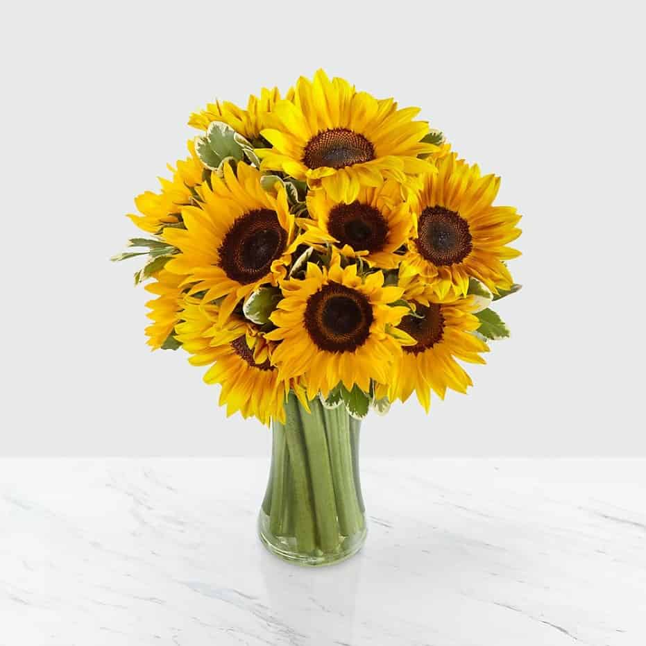 >Endless Summer Sunflower Bouquet