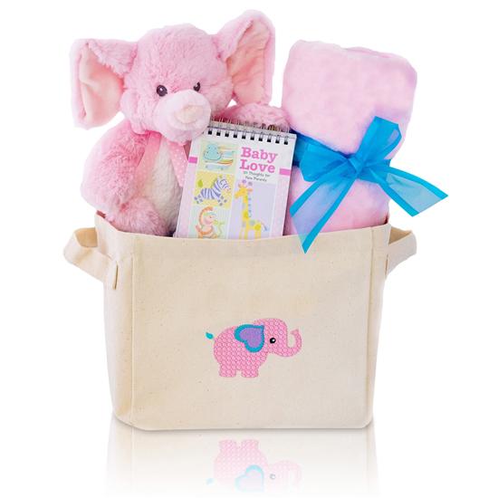 welcome home baby girl gift basket