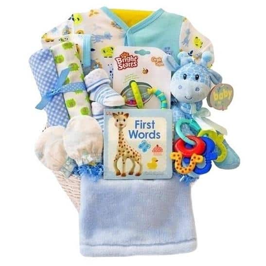 baby boy welcome basket
