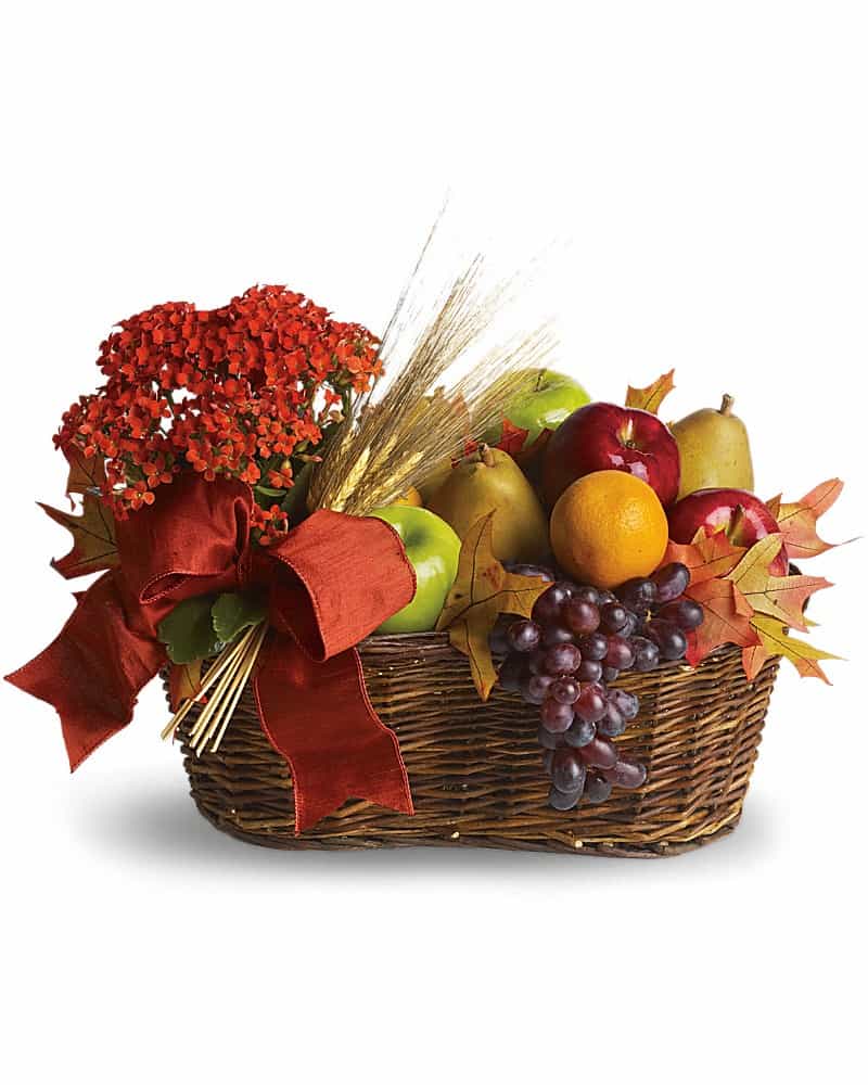 Harvest Fruit Gift Basket by
