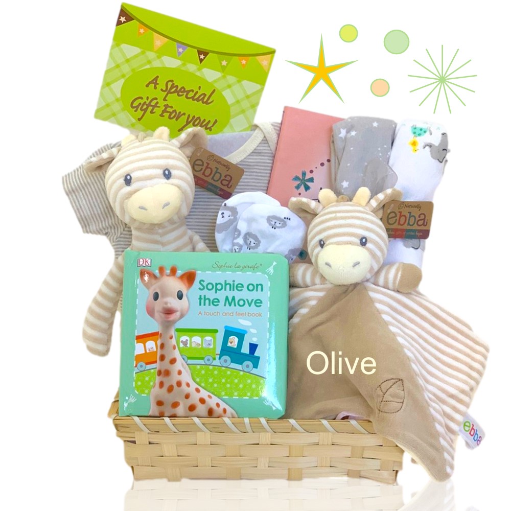 >LITTLE SAFARI BABY GIFT BASKET