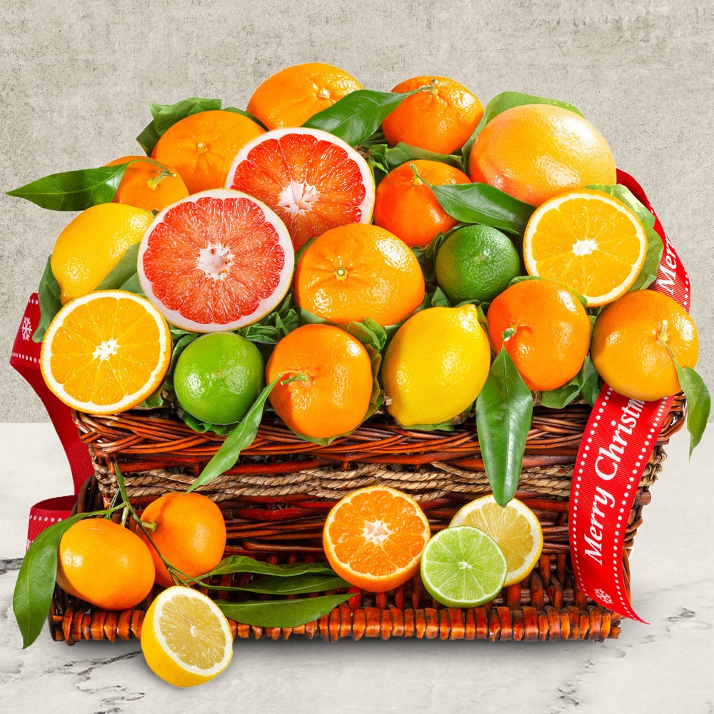 >Merry Christmas Citrus Fruit Basket