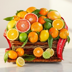 Merry Christmas Citrus Fruit Basket