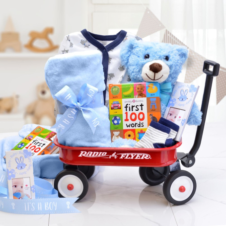 Deluxe Welcome Home Precious Baby Basket - Blue