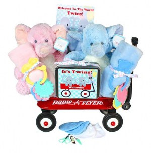 gift basket for twins boy and girl